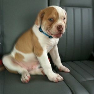 Meet your Posher, Sean